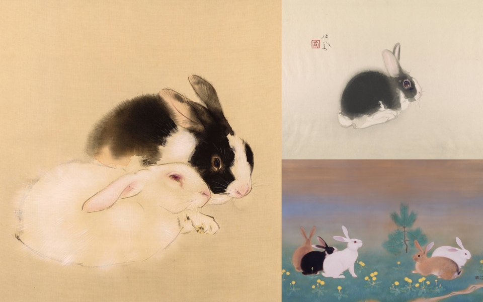 rabbit3
