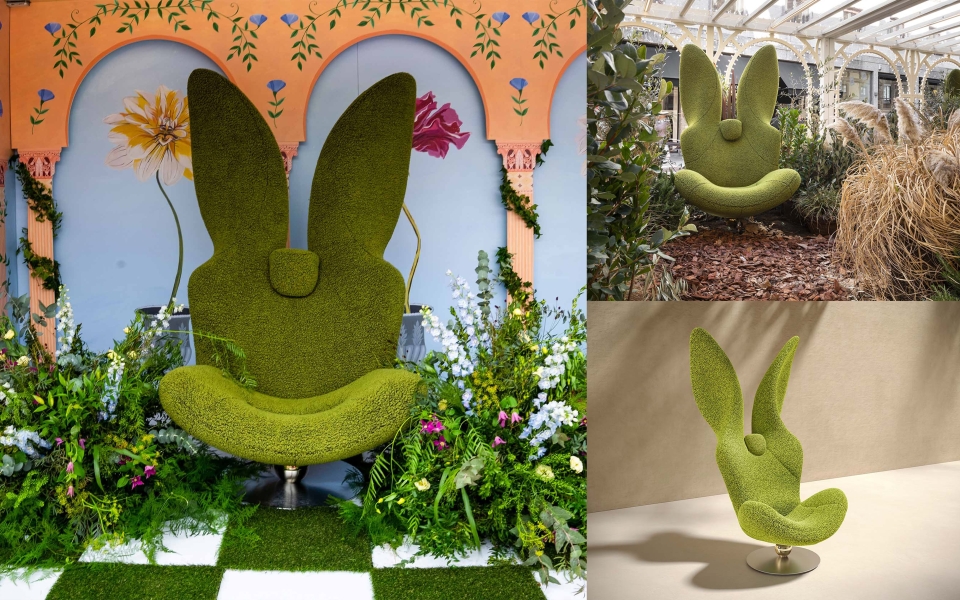 rabbit4