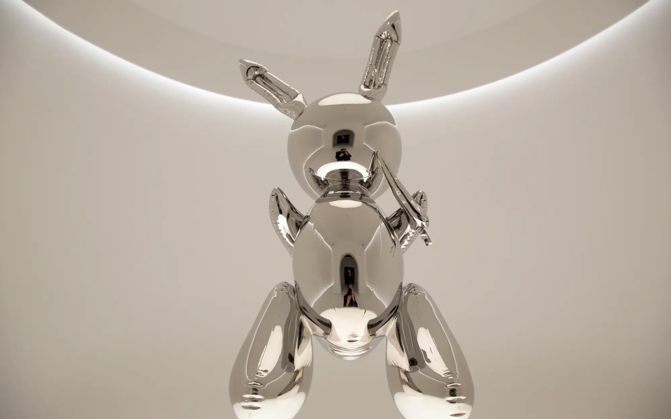 rabbit5